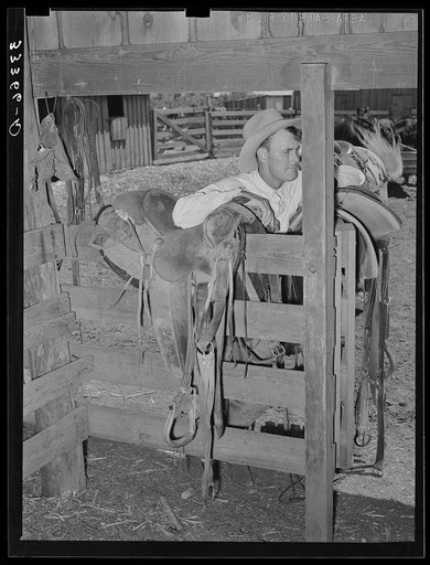 Cowboy leaning on saddle. Saddle room on SMS Ranch near Spur, Texas