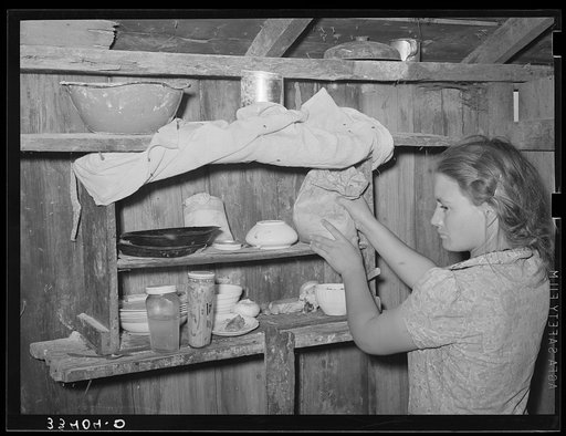 Kitchen cabinet in the house of agricultural day laborer living near Webbers Falls, Oklahoma. This was the only food in the house. The father had always been a day laborer; the two children have never attended school. Muskogee County, Oklahoma