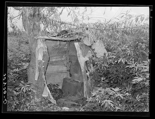 Privy of agricultural day laborer living in Arkansas River bottoms near Webbers Falls, Oklahoma. Muskogee County