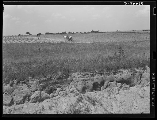 Untitled photo, possibly related to: Landscape in Oklahoma showing man plowing in cotton field in background and profile of soil showing easily erodable structure in foreground. Near Warner, Oklahoma