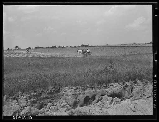 Landscape in Oklahoma showing man plowing in cotton field in background and profile of soil showing easily erodable structure in foreground. Near Warner, Oklahoma