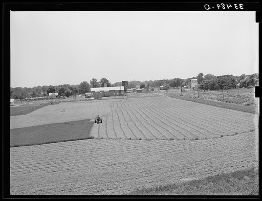 Untitled photo, possibly related to: Cutting field of alfalfa with tractor-drawn equipment near Prague, Oklahoma