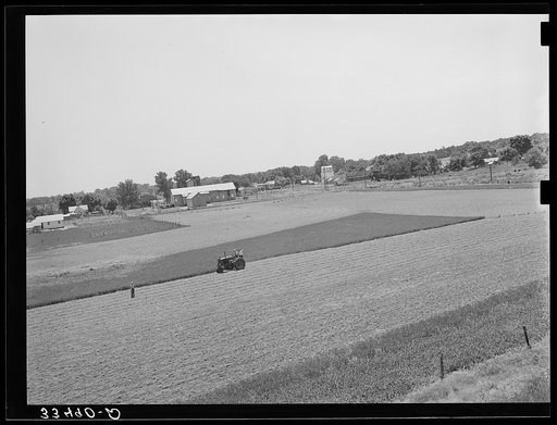 Untitled photo, possibly related to: Cutting field of alfalfa with tractor-drawn equipment near Prague, Oklahoma