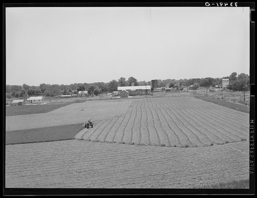 Cutting field of alfalfa with tractor-drawn equipment near Prague, Oklahoma