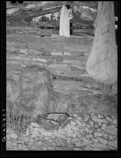 Interior of shed of agricultural day laborer. McIntosh County, Oklahoma