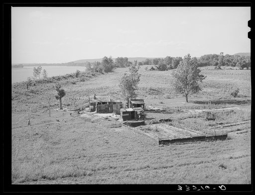 Scene along the Arkansas River bottom at Webbers Falls. Muskogee County, Oklahoma