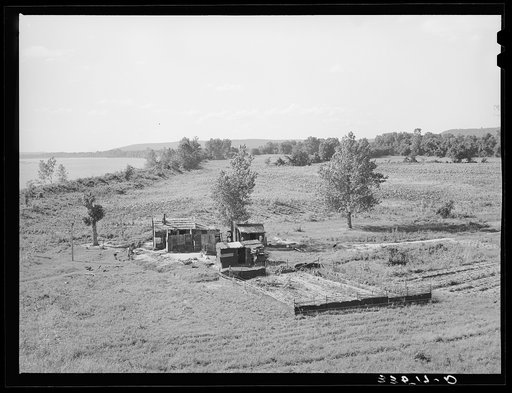Untitled photo, possibly related to: Scene along the Arkansas River bottom at Webbers Falls. Muskogee County, Oklahoma