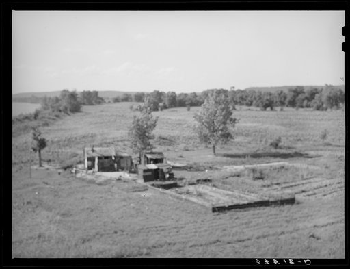 Untitled photo, possibly related to: Scene along the Arkansas River bottom at Webbers Falls. Muskogee County, Oklahoma