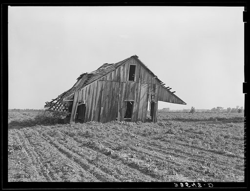 Abandoned tenant farmhouse in field of cotton in Wagoner County, Oklahoma