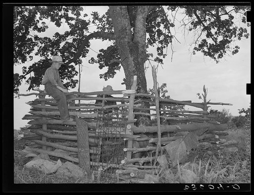 Primitive hog pen built by itinerant statue maker and day laborer camped on Poteau Creek near Spiro, Oklahoma. Sequoyah County