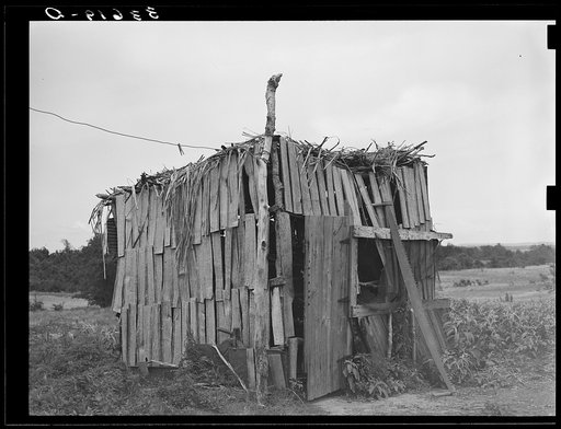 Chicken shed of Negro tenant farmer in Wagoner County, Oklahoma