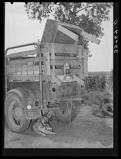 Rear of migrant's truck with dog underneath it. Getting ready to leave for California. Near Muskogee, Oklahoma