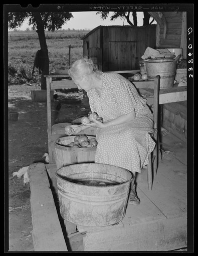 Wife of tenant farmer living near Muskogee picking over tomatoes before peeling for canning. Refer to general caption number 20