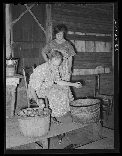 Wife of tenant farmer living near Muskogee picking over tomatoes before peeling for canning. Refer to general caption number 20