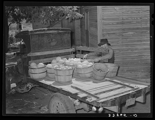 Tenant farmer loading melons and vegetables on his truck for delivery into market at Muskogee, Oklahoma. This year many vegetables were brought back from town when prices offered were ruinessly low and were there fed to hogs. Refer to general caption number 20