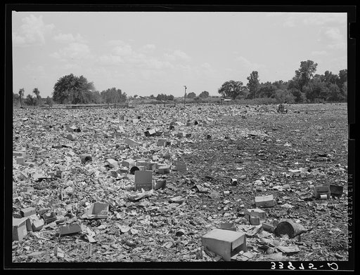 Untitled photo, possibly related to: City dump, Oklahoma City, Oklahoma. It was on top of such as this that the Mays Avenue camp was built