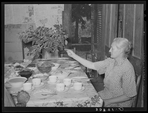 Family of tenant farmer at noonday meal near Muskogee, Oklahoma. His wife is shooing away flies with branch. See general caption number 20