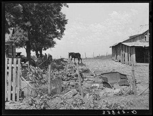 Barnyard of tenant farmer near Muskogee, Oklahoma. Refer to general caption number 20