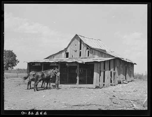 Barn belonging to tenant farmer near Muskogee, Oklahoma. See general caption no. 20