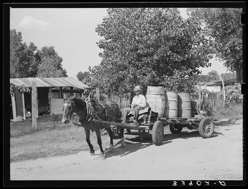 Water peddler in community camp. Oklahoma City, Oklahoma. He is paid fifteen cents a barrel for delivering water to the shack homes