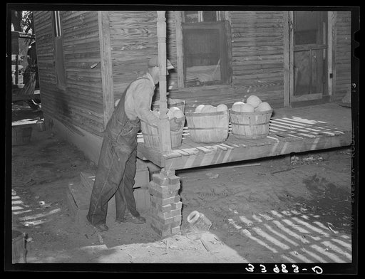 Man putting baskets of fruit on a porch. Muskogee, Oklahoma