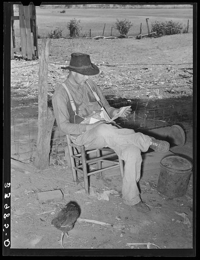 Tenant farmer looking through the mail. Near Muskogee, Oklahoma. See general caption 20