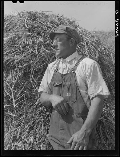 William Rall, FSA (Farm Security Administration) client, against background of feed of which he has plenty for the coming winter. Sheridan County, Kansas