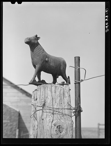 Weather vane. Sheridan County, Kansas