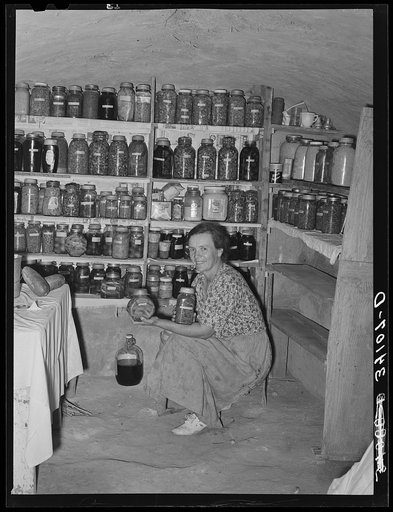Untitled photo, possibly related to: Mrs. Schoenfeldt, FSA (Farm Security Administration) client, in Sheridan County, Kansas, in fruit cellar