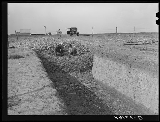 Trench silo. Sheridan County, Kansas