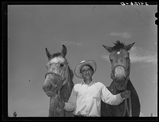 Ernest W. Kirk Jr., with team of mules which was bought with FSA (Farm Security Administration) loan. Near Ordway, Colorado