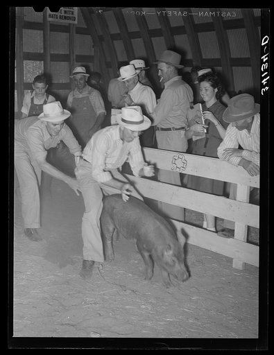 County agent at 4-H fair. Sublette, Kansas