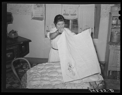 Spanish-American woman covering dough so that shaped loaves will rise evenly. Near Taos, New Mexico
