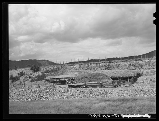 Straw-covered shelter for livestock on farm near Questa, New Mexico