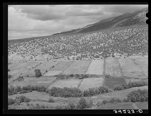 Scene on strip farms along the Rio Hondo near Taos, New Mexico. This land was originally Spanish land grants and has been divided and subdivided among the descendents of the first farmers until the farms are today extremely small, some being only five or six acres. The land has been divided so that 