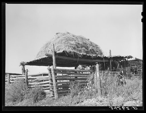 Livestock shelter with hay on roof near Questa, New Mexico