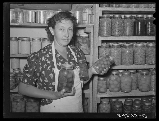 Vegetables and fruits canned by FSA (Farm Security Administration) client near Taos, New Mexico