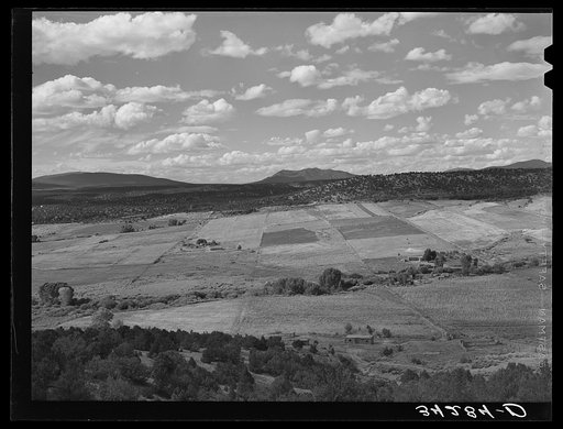 Strip farming near San Cristobal, New Mexico