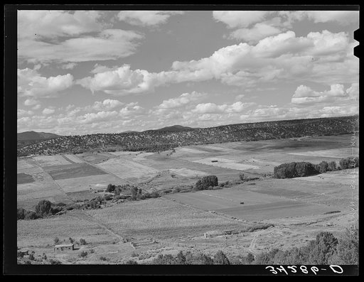 Strip farming near San Cristobal, New Mexico