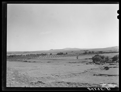 Untitled photo, possibly related to: Orchard in Mora River Valley near Mora, New Mexico