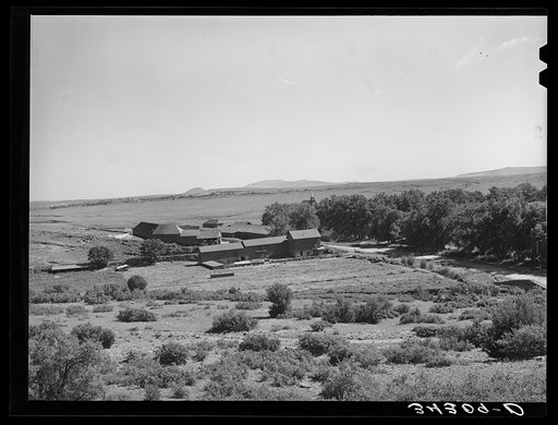 Large Spanish-American farm specializing in fruits. Mora River Valley near Mora, New Mexico