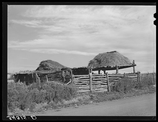 Stock shelters with hay on roof. Near Questa, New Mexico