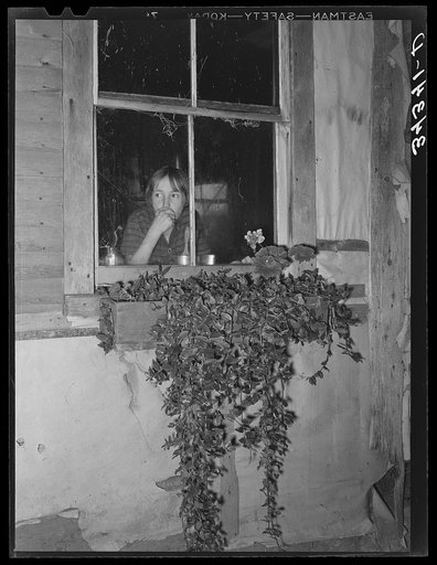 Window box and daughter of FSA (Farm Security Administration) client. Farm near Bradford, Vermont, Orange County
