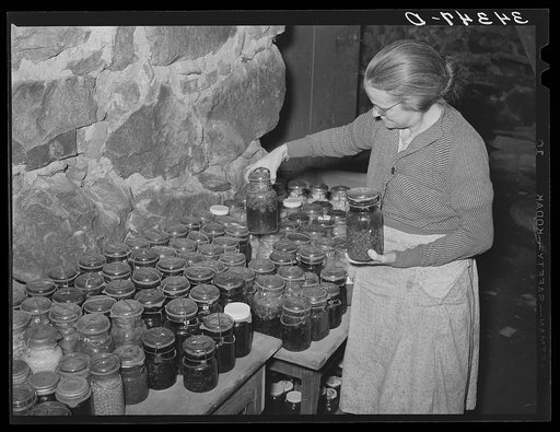 Wife of FSA (Farm Security Administration) client looking at canned goods stored in her cellar. Near Bradford, Vermont, Orange County