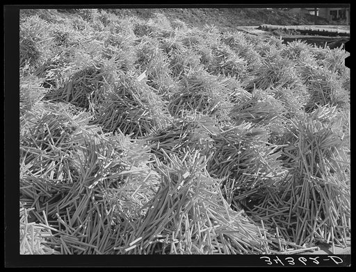 Pile of mill-turned sticks near Bridgewater, Vermont