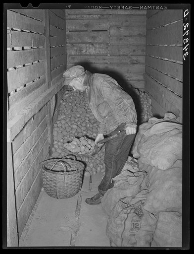 Untitled photo, possibly related to: Weighing seed potatoes at cooperative's association. Bradford, Vermont, Orange County