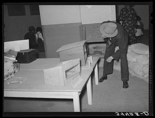 FSA (Farm Security Administration) exhibit at state fair. Dallas, Texas