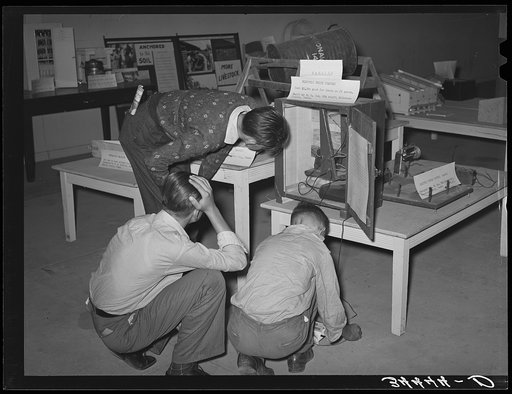 FSA (Farm Security Administration) exhibit at state fair. Dallas, Texas