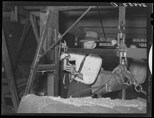 Weighing bale of cotton at unloading platform at compress. Houston, Texas