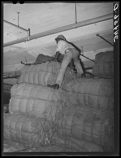 Warehouse worker atop stack of burlap bags. Compress at Houston, Texas
